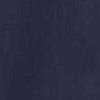 NAVY\