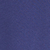 NAVY\