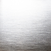 STAINLESS STEEL\