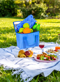7L Cooler Bag With Ice Racks