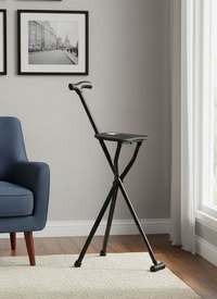 2 in 1 Walking Stick with Folding Seat