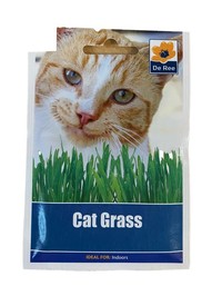 CAT GRASS