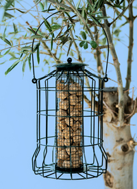 SQUIRREL PROOF BIRD FEEDER (SET OF 2)