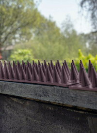 SECURITY SPIKES BROWN SET OF 10