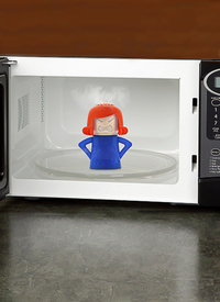 Microwave Steam Cleaner