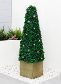 Solar Topiary Outdoor Garden Plants Solar Topiary Outdoor Garden Plants