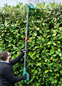 Webb 20v Telescopic Cordless Pole Hedge Trimmer Kit