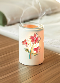 Electric Aroma Lamp