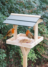 Free Standing Bird Table