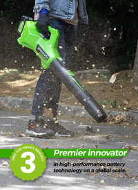 Greenworks 24V 145km/h Cordless Axial Blower (Tool Only)