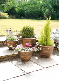 Wenlock 4pc Planter Set