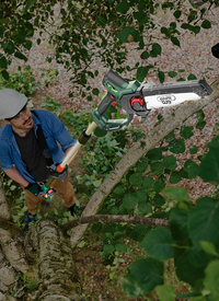 Webb 20v Cordless Pruning Saw with Extension Pole (+ FREE Charger)