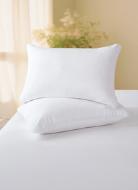 Premium Bounce Back Pillows (2pck)