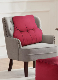 Back Support Cushions 