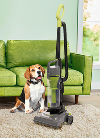 Pet Upright Vacuum