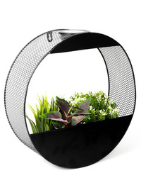 Solar Hanging Topiary Solar Hanging Topiary