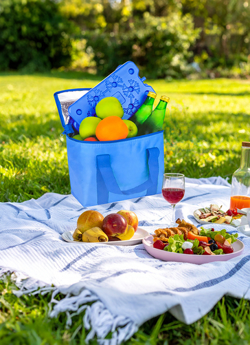 7L Cooler Bag With Ice Racks