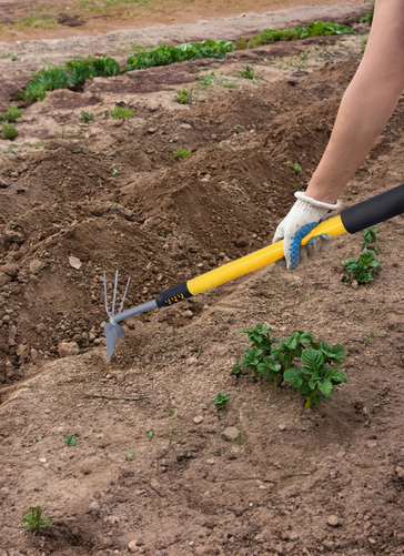 Telescopic Garden Weeder 