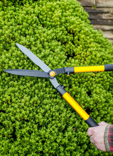 Telescopic Hedge Shears With Foam Grip 