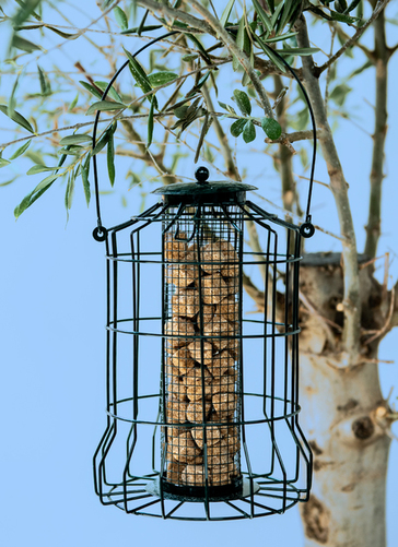 Squirrel Proof Bird Feeder (set Of 2)