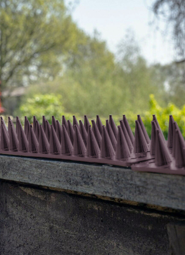 Security Spikes Brown Set Of 10