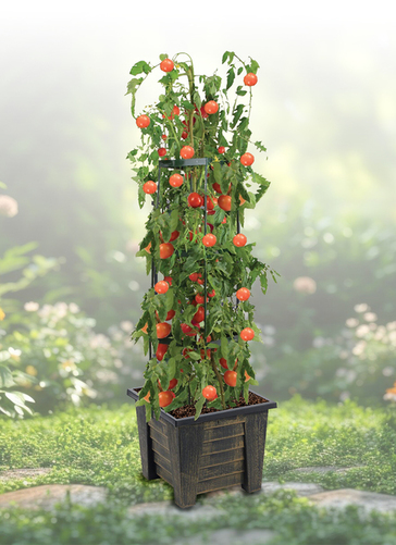 Tomato Planter Plant Trellis