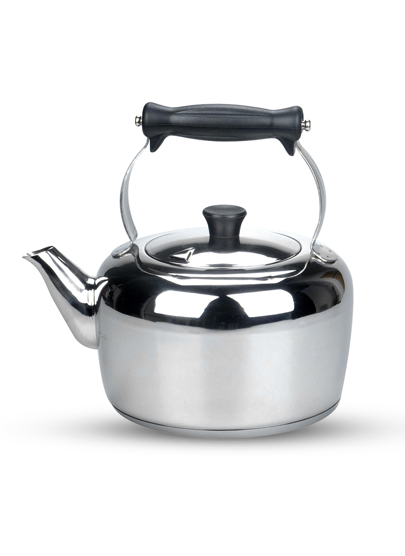 Stainless steel best sale stovetop tea kettle