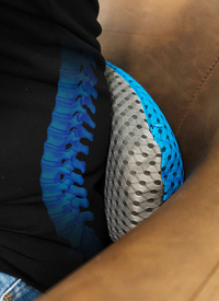 Memory Foam Lumber Support Pillow