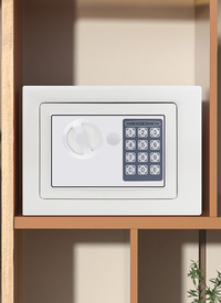 Digital Safe Box