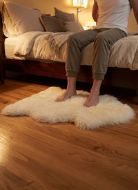 Australian Sheepskin Rug Australian Sheepskin Rug