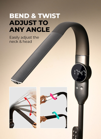Homelya Remote Control Floor Lamp