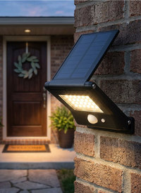 Outdoor Solar Light with PIR Motion Sensor