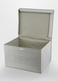 2-in-1 Clothes & Duvet Storage Box 