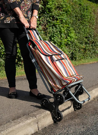 All-In-One Leisure Trolley with Seat