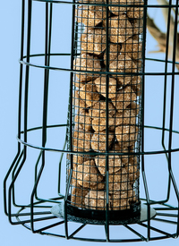 SQUIRREL PROOF BIRD FEEDER (SET OF 2)