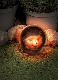 HEDGEHOG SOLAR LIGHT