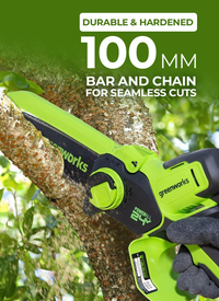 Greenworks 24V 30cm Cordless Brushless Chainsaw (Tool Only)