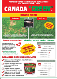 CANADA GREEN 500