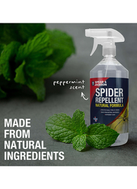 Spear and Jackson Ant & Spider Repellent Spray 1ltr (1x500ml Ant / 1x 500ml Spid