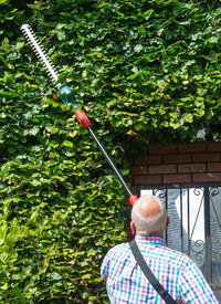 Webb 20v Telescopic Cordless Pole Hedge Trimmer Kit