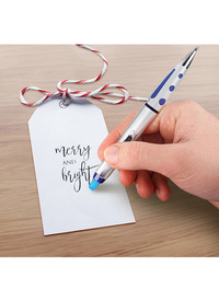 Erasable Pen 6pck