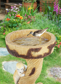 Meerkat Solar Bird Bath