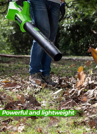 Greenworks 24V 145km/h Cordless Axial Blower (Tool Only)