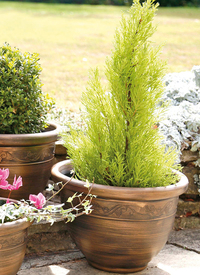 Wenlock 4pc Planter Set