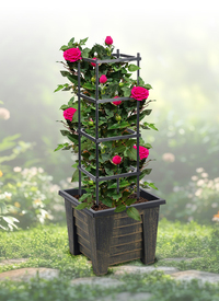Tomato Planter Plant Trellis