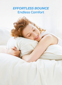 Premium Bounce Back Pillows (2pck)