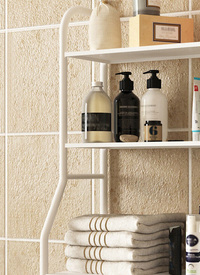 Toilet Rack