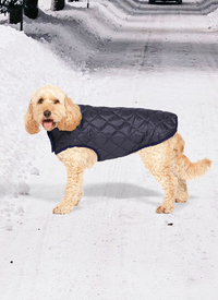 Diamond Quilt Pet Coat 