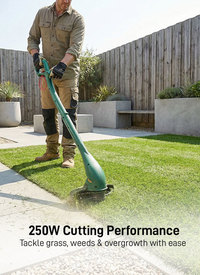 Webb 250W Electric Strimmer 23cm