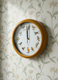 Radio Controlled Bird Song Clock Radio Controlled Bird Song Clock